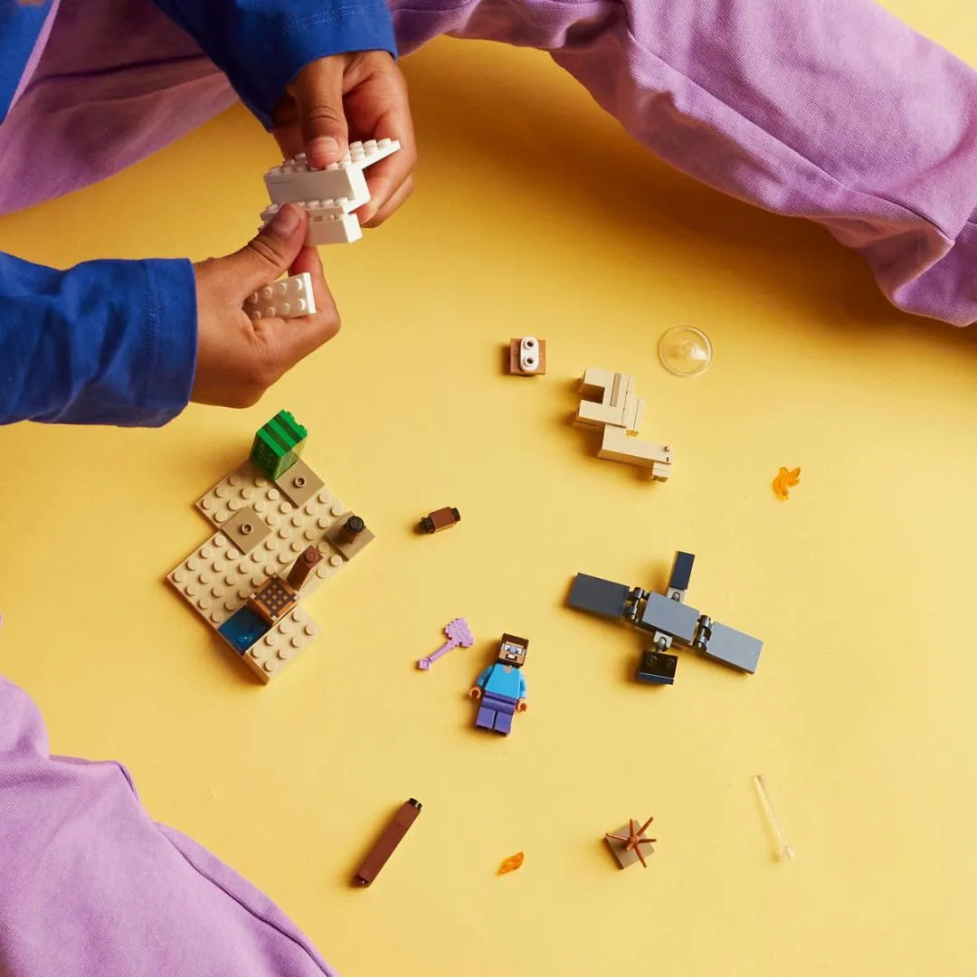 LEGO21251 LEGO21251