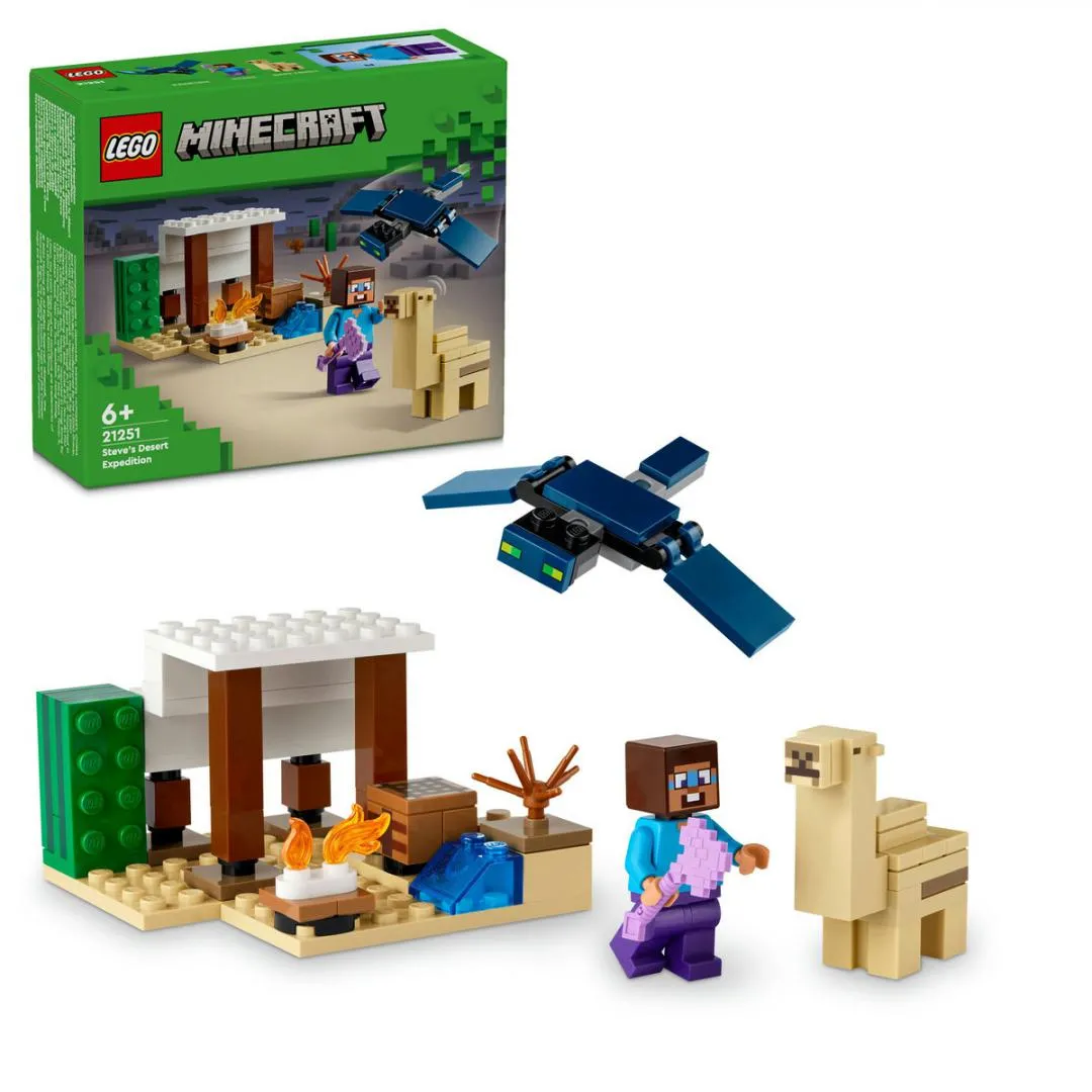 LEGO21251