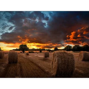 Monitor videowall SAMSUNG VM55B-U 3.5mm "LH55VMBUBGBXEN" (timbru verde 15 lei)