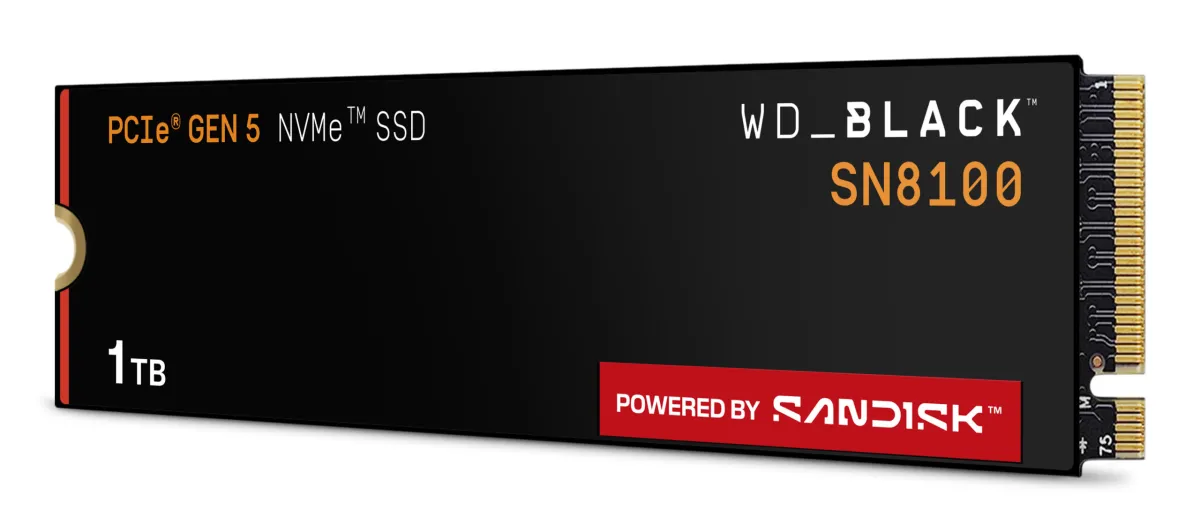 WDS100T1X0M-00CMT0
