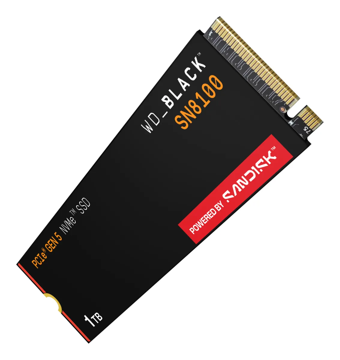WDS100T1X0M-00CMT0