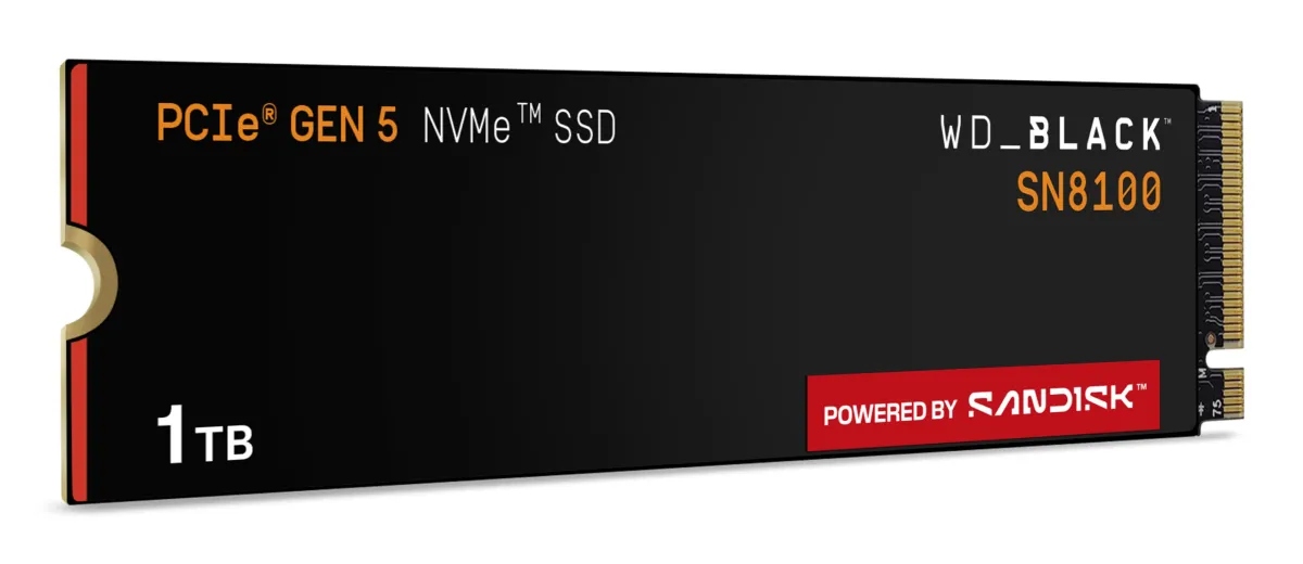 WDS100T1X0M-00CMT0