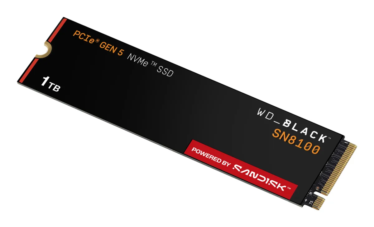WDS100T1X0M-00CMT0